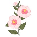 불당11로 이미지