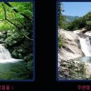 원동펜션 이미지