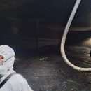 대양축산 이미지