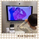 영어 동화 스토리텔링 | 아이가 금방 질려하면 어떡하지? 걱정하며 시작한 6세 영어 잉글리시에그 솔직후기