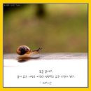 달팽이의 꿈 이미지