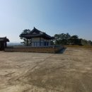 위천정 Daum카페