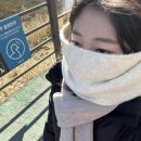 불근 | [26년 1월] 붉은불근불끈말!