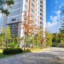 중촌초등학교(건너편) 이미지