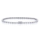 아도니스 이미지