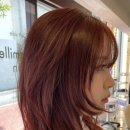 오렌지브릭