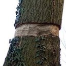 원예기능사 이미지