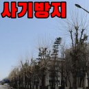 의왕시내손1동 이사쓰레기 폐기물처리비용 이런업체도 사기친다?