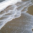 화진포해양박물관 이미지