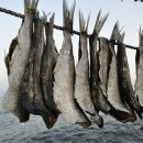 청어람로 이미지