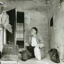 용담호사진문화관 이미지