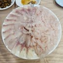 다대횟집 티스토리
