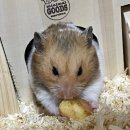 제이보드(JBOARD) 이미지