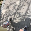 고양이를 사랑하는 남자 | 말론하우스 윙키핑키 고양이와 토끼가 있는 이색 키즈카페 솔직 후기