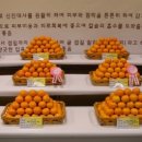 부부농원 - 양주시 일영로 601-8 | 부부농원