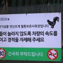 오계농장 이미지