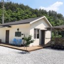 봉구 | 삼척애견동반펜션 찾는다면 여기! 환선굴 근처 독채 감성 숙소 봉구하우스 후기