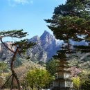 빛의 열주 이미지