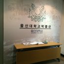 울산대학교박물관 이미지