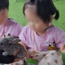 둥이목장 이미지