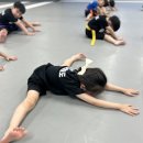 경희대 청룡태권도 이미지