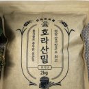 호라마트 이미지