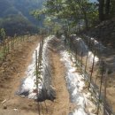 욱일농원 이미지