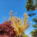 화성여관 | 수원 단풍 명소 수원화성 성곽길 용연 방화수류정 화홍문