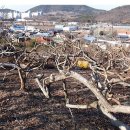 수청농장 이미지