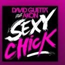 David Guetta (Feat. Akon) / Sexy Chick 이미지