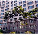 다온메탈 이미지