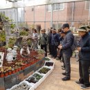 달성토성마을 이미지