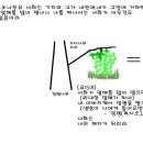 G2759 이미지