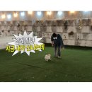 어서오시개냥 애견펜션 | 포천 어서오시개냥 애견펜션 독채1호 솔직후기