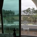 솔바람 파도소리 이미지