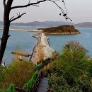 여수밤바다공인중개사사무소 이미지