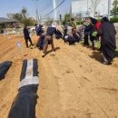 배치농장 이미지