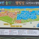 연곡해변 솔향기캠핑장 이미지