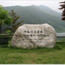 내성천 제방도로 이미지