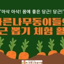 바른나무유치원