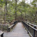 관악산 무장애숲길 이미지