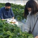 서부농장 이미지