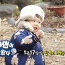 청계펜션