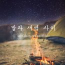 예쁘뎅 Daum카페