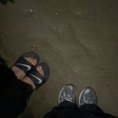 골든셀프워시 | [충남 태안] 몸만 가셔요 골든비치펜션