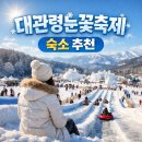 대관령호텔 | [정보/공간] 대관령 눈꽃축제 숙소 추천 ㅣ 도보권 호텔부터 차량 30분 이내 후기 좋은 숙소까지