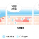 위드연의원