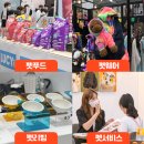 마이펫푸드 이미지