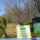 우면산3-28 이미지