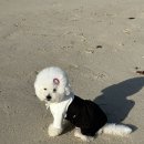 어썸스테이 이미지